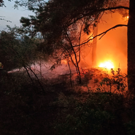 Belgrade shrouded in smoke; Apocalyptic scenes; Wildfires rage across Serbia; All units deployed PHOTO/VIDEO