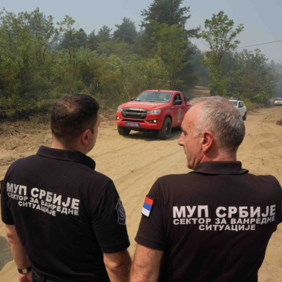 Stižu dobre vesti: Požar u Deliblatskoj peščari pod kontrolom