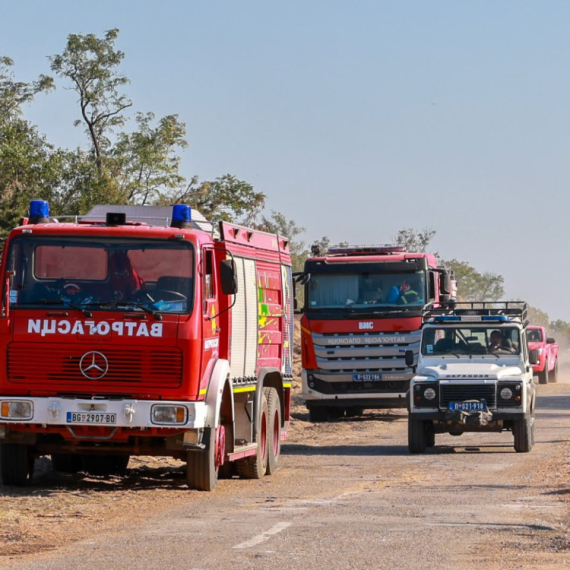 Dramatic battle against Deliblato Sands wildfire: Farms with livestock under threat PHOTO