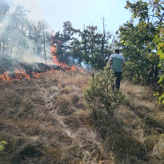 U Srbiji aktivna 44 požara na otvorenom prostoru; MUP: "Lokalizovani požari u Majdanpeku"
