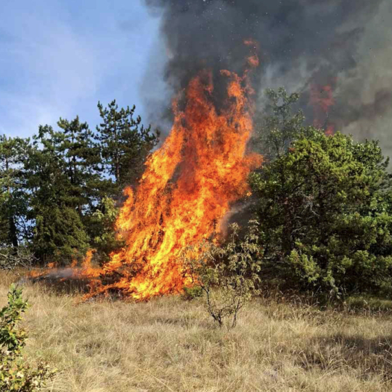 U Srbiji aktivna 44 požara; Ruski "iljušin" gasi vatru na Suvoj planini FOTO