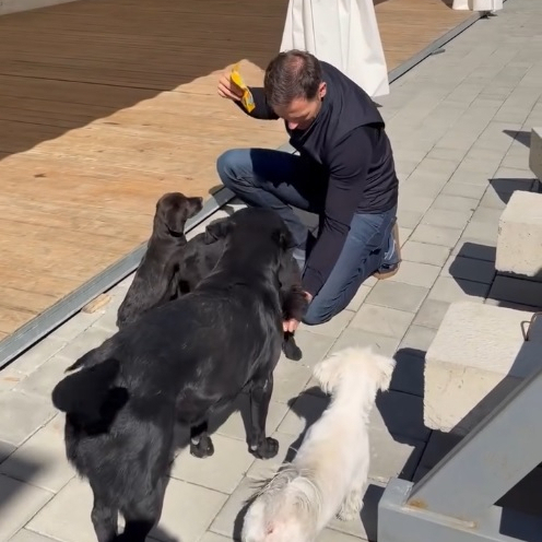 Mali pokazao štence koji "nadgledaju" Ekspo kamp: "Između sastanaka morao sam malo da se poigram" VIDEO