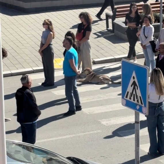 Skandalozno ponašanje blokadera u Velikoj Plani; Ne umeju da ispoštuju stradale FOTO