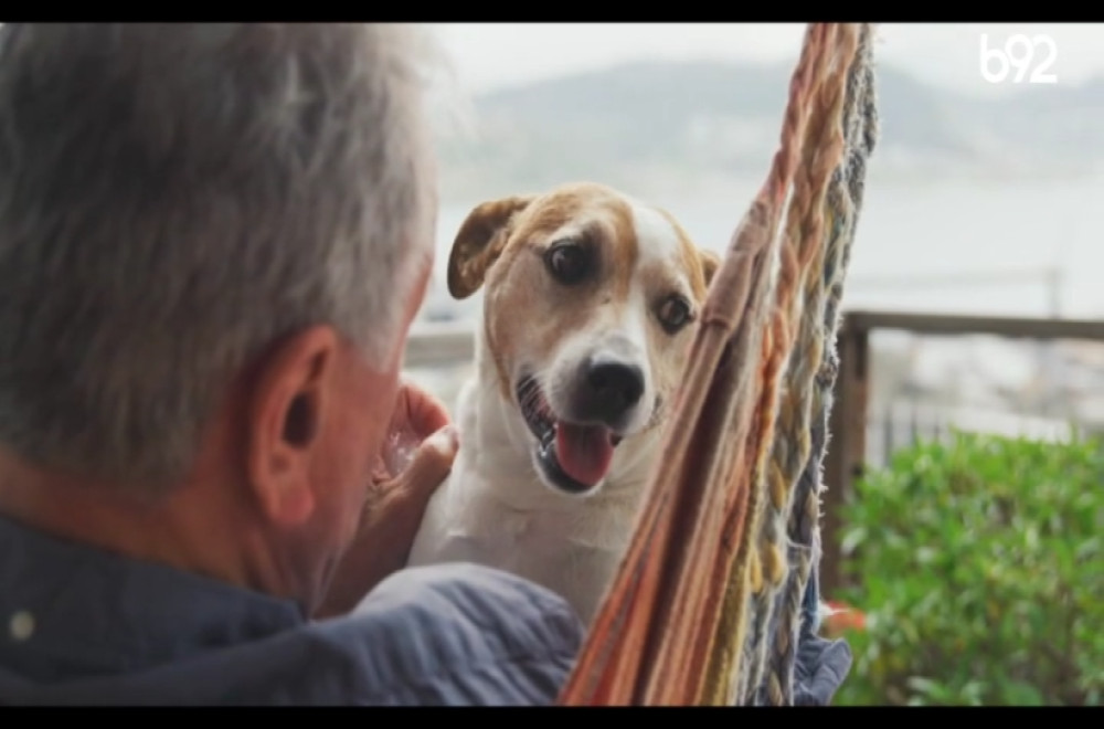 Misija šapa - 18.01.2026.