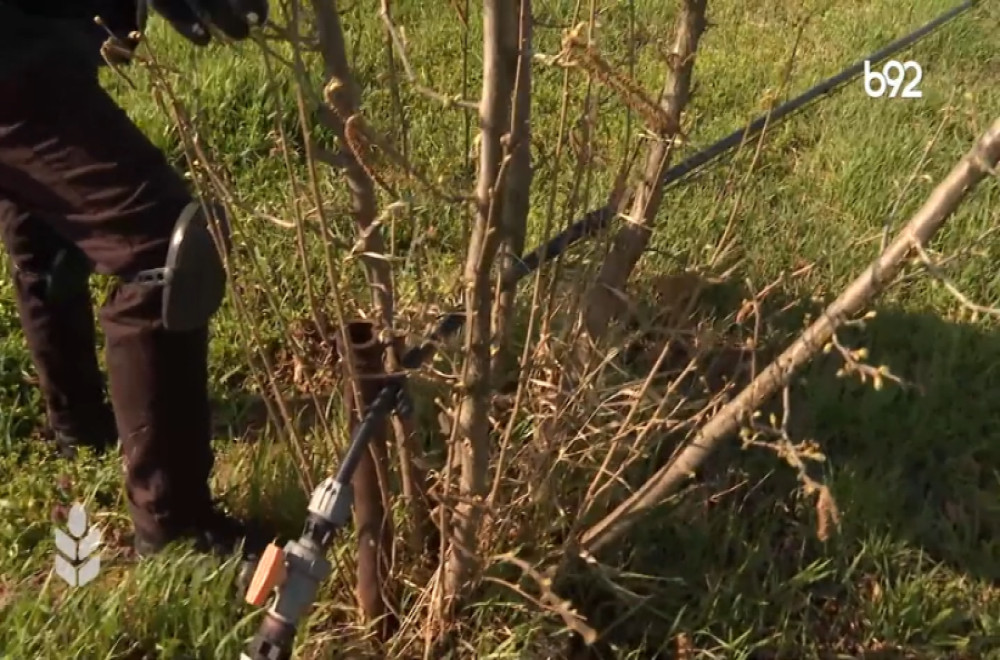 Plodno i rodno - 15.03.2026.