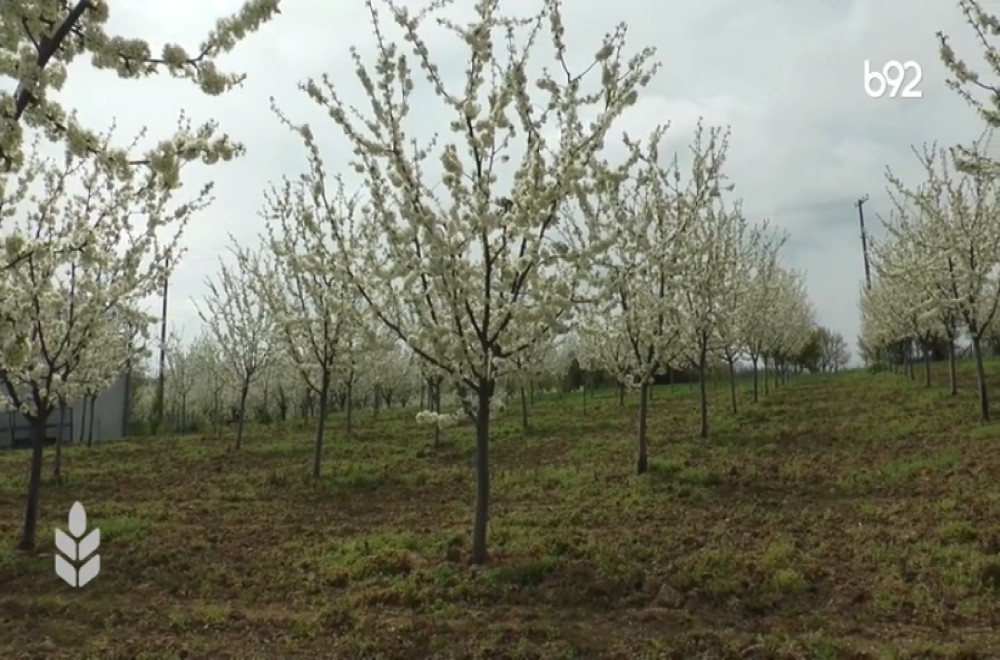 Plodno i rodno - 19.04.2026.