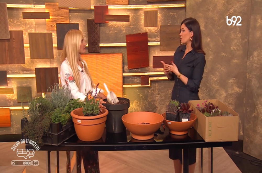 Želim da ti kažem - Dragana Maček, diplomirani inženjer pejzažne arhitekture