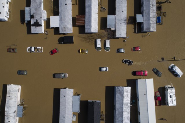 Foto: Tanjug/Alex Slitz/Lexington Herald-Leader via AP