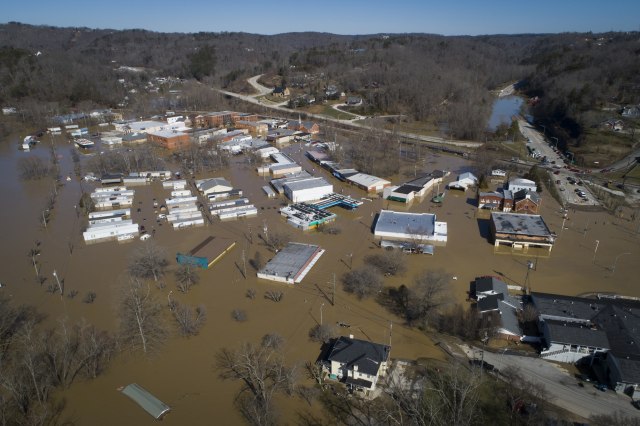 Foto: Tanjug/Alex Slitz/Lexington Herald-Leader via AP
